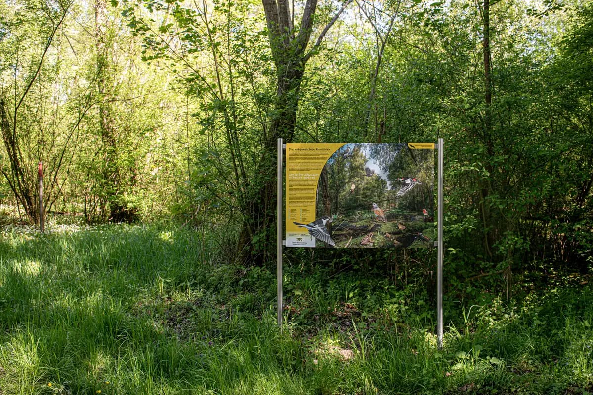 Harzverbundtafel Kreuzmoos Edelstahl Taubergießen Auwald Naturschutz