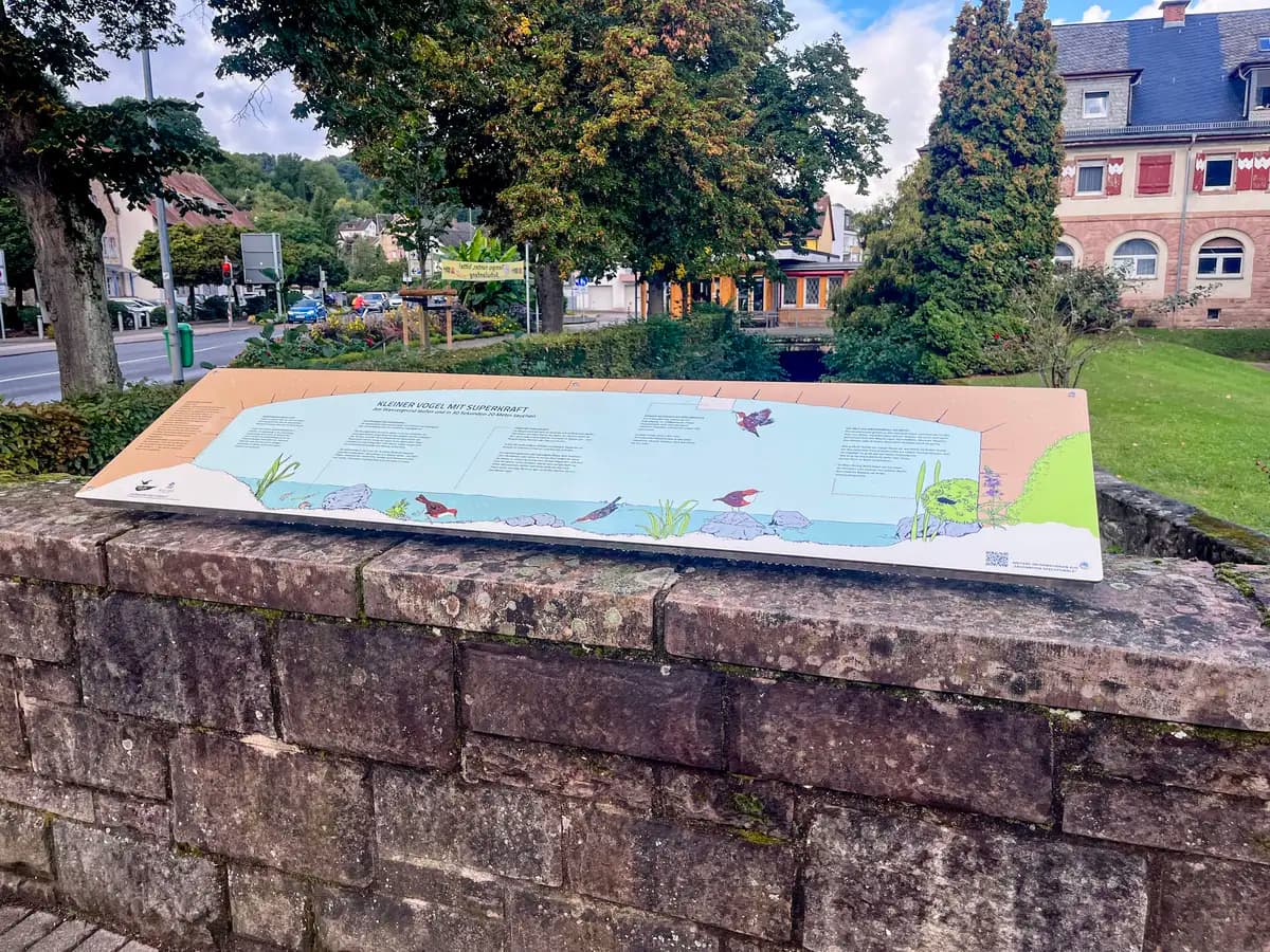 Aludibond-Infotafel Pultständer Edelstahl Mauer Bad Orb Vogelschutz