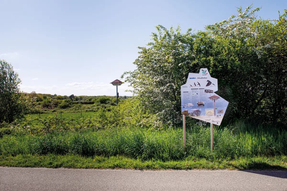 Harzverbundtafel Sonderständer Edelstahl NSG Rieselfeld Freiburg